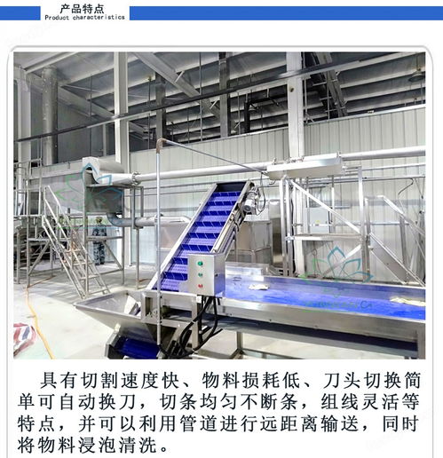 薯條水刀切條機 馬鈴薯水力切刀薯條生產(chǎn)